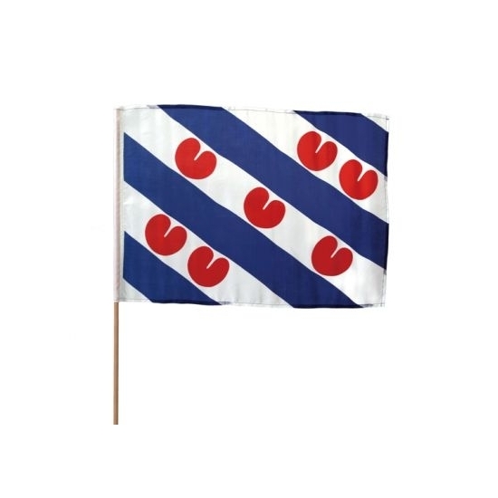 10x Extra grote zwaaivlaggen Friesland