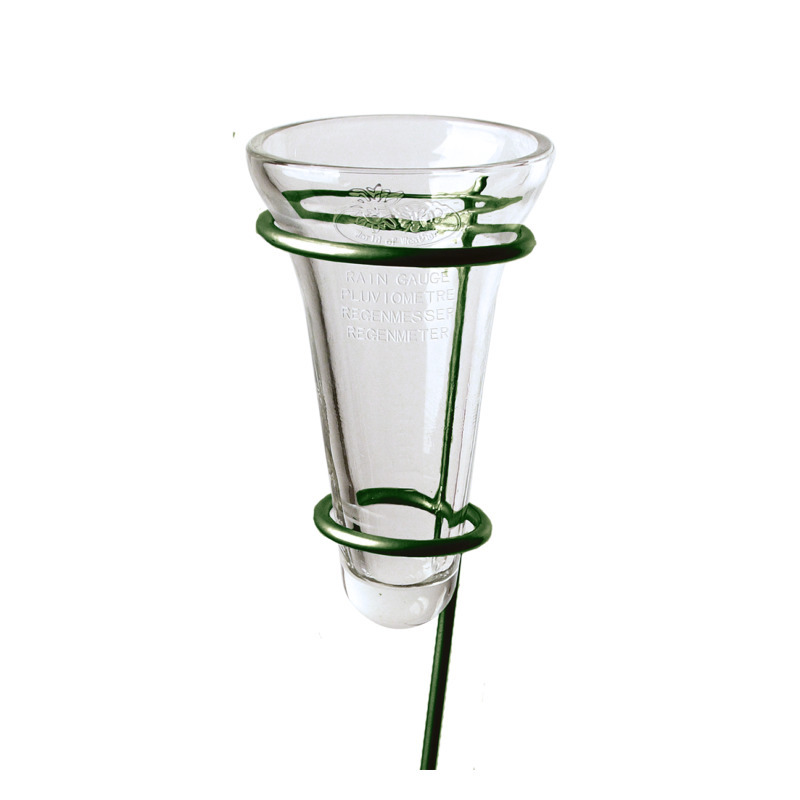 1x Regenmeter-neerslagmeter glas met verzinkte grondpen groen 69 cm