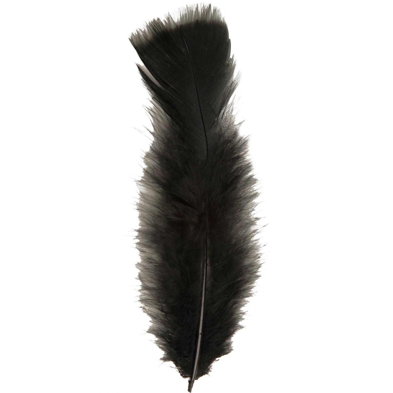 200x Zwarte veren-sierveertjes decoratie-hobbymateriaal 17 cm