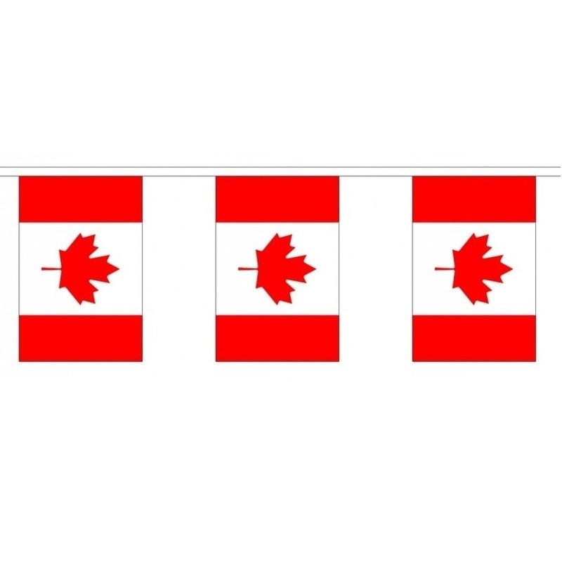 2x Buiten vlaggenlijn Canada 3 meter