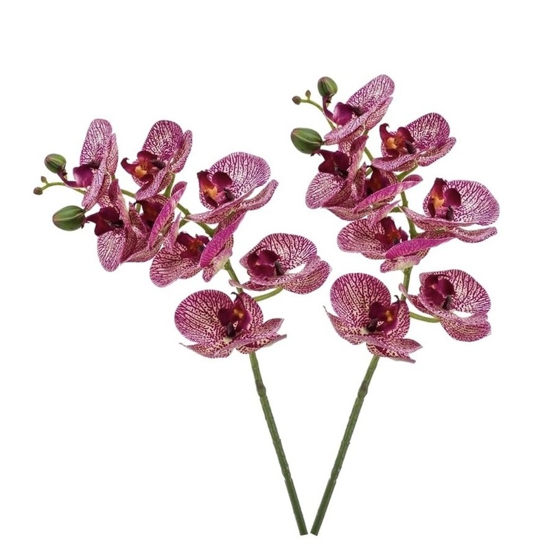 2x Fuchsia roze Phaleanopsis/vlinderorchidee kunstbloemen 70 cm -