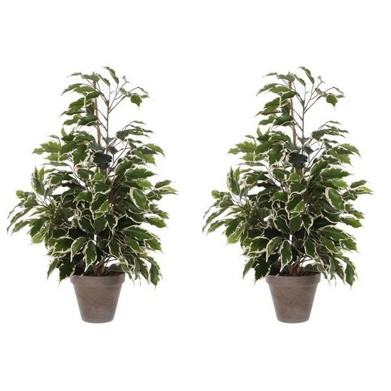 2x Groen-witte tropische ficus kunstplanten 65 cm voor binnen
