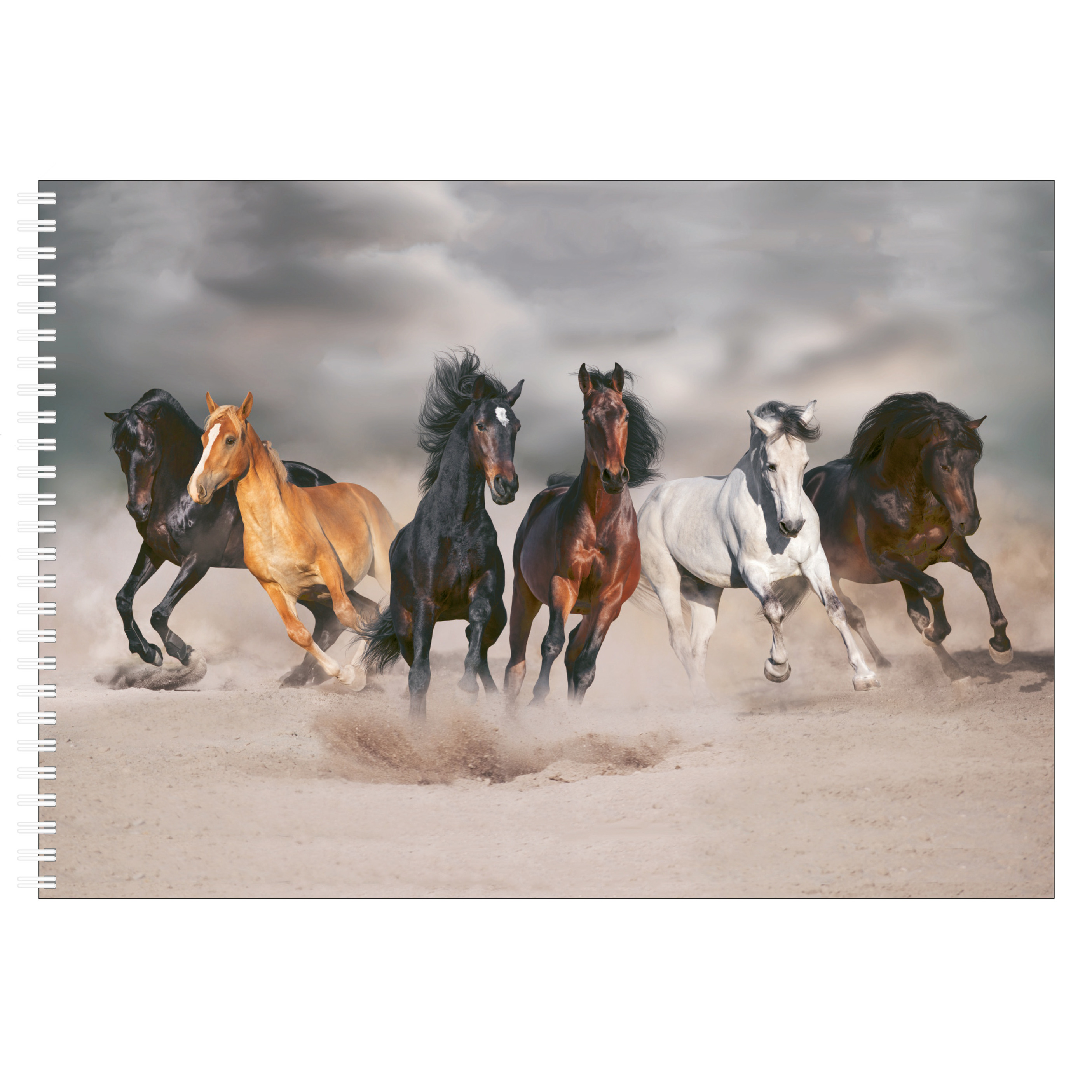3x stuks a4 paarden schetsboek- tekenboek- kleurboek- schetsblok wit papier
