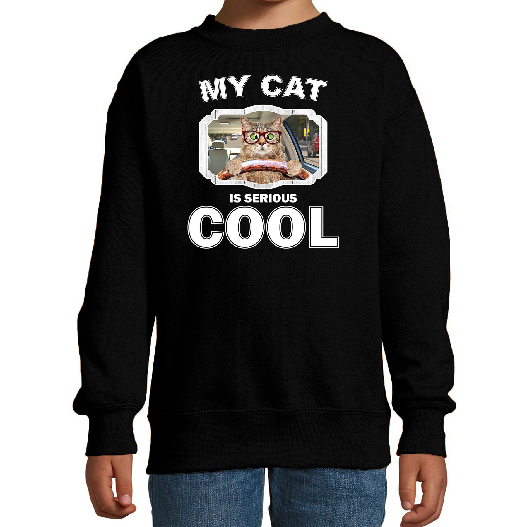 Auto rijdende katten-poezen trui-sweater my cat is serious cool zwart voor kinderen