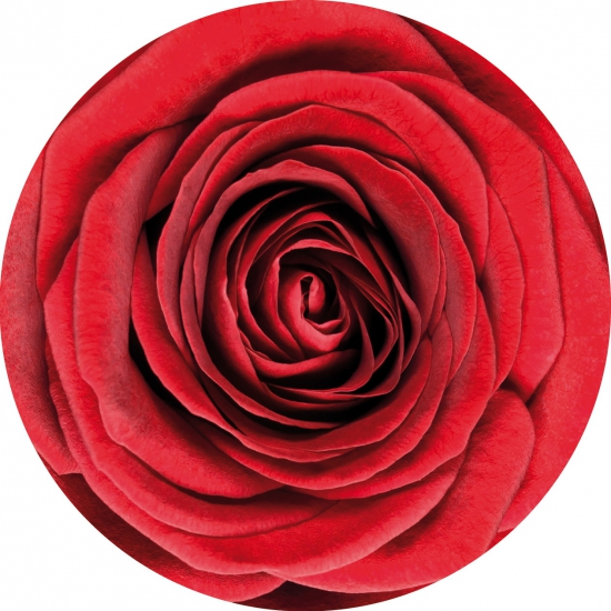 Bierviltjes onderzetters rode roos-rozen 50x stuks