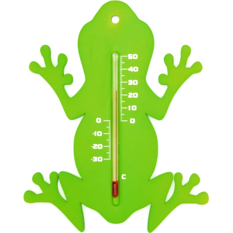 Binnen/buiten thermometer groene kikker 15 cm -
