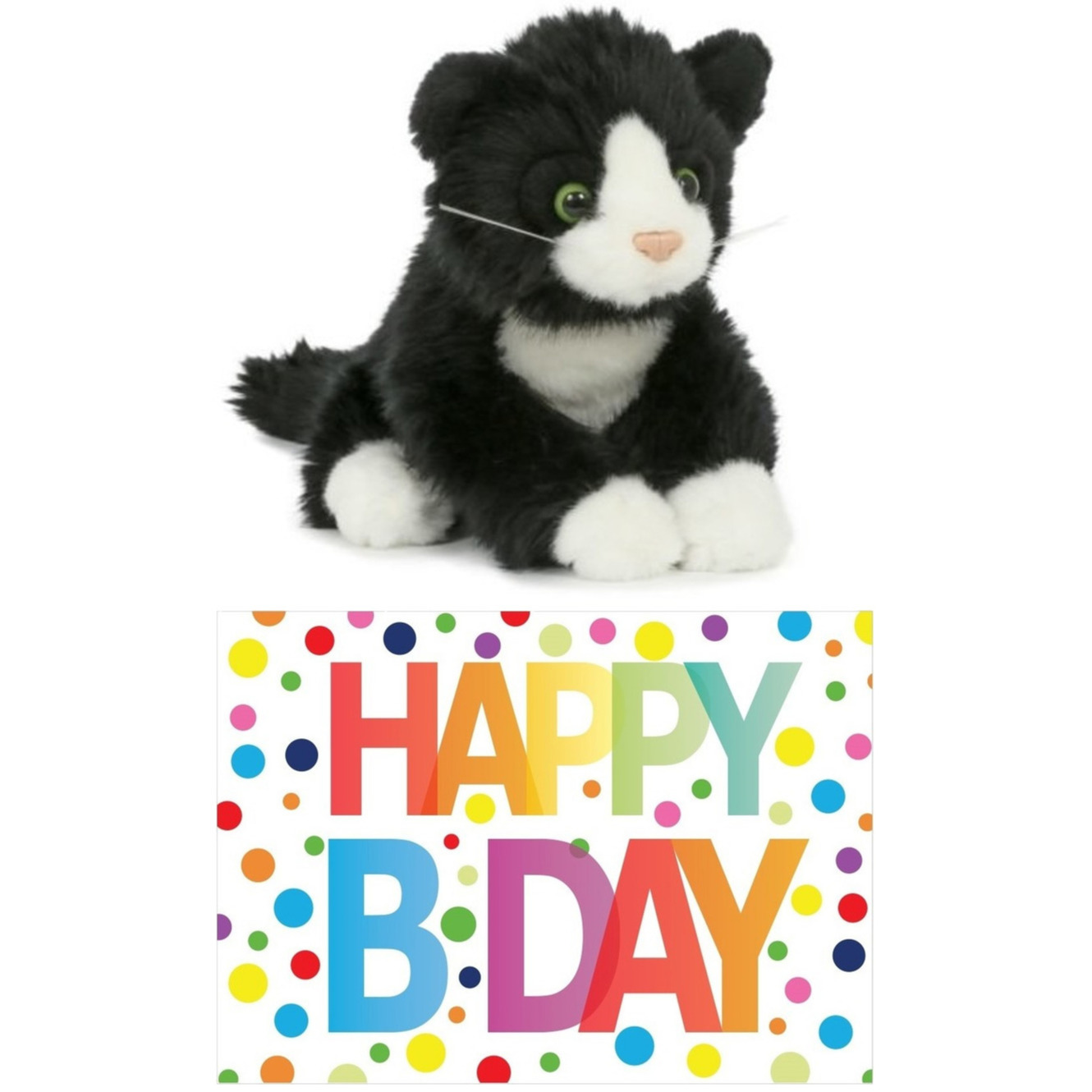 Cadeau setje pluche zwart-witte kat-poes knuffel 18 cm met Happy Birthday wenskaart