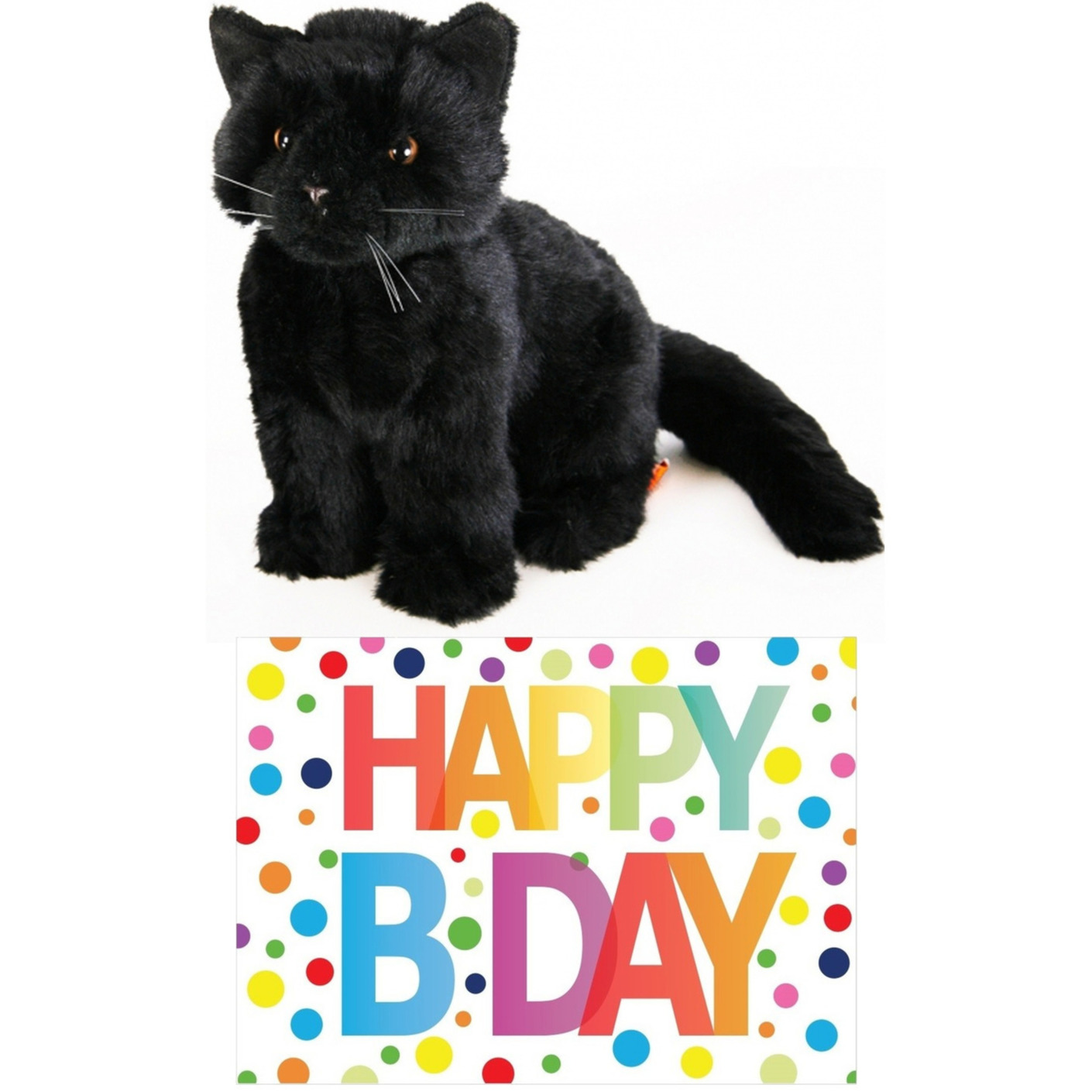 Cadeau setje pluche zwarte kat-poes knuffel 20 cm met Happy Birthday wenskaart