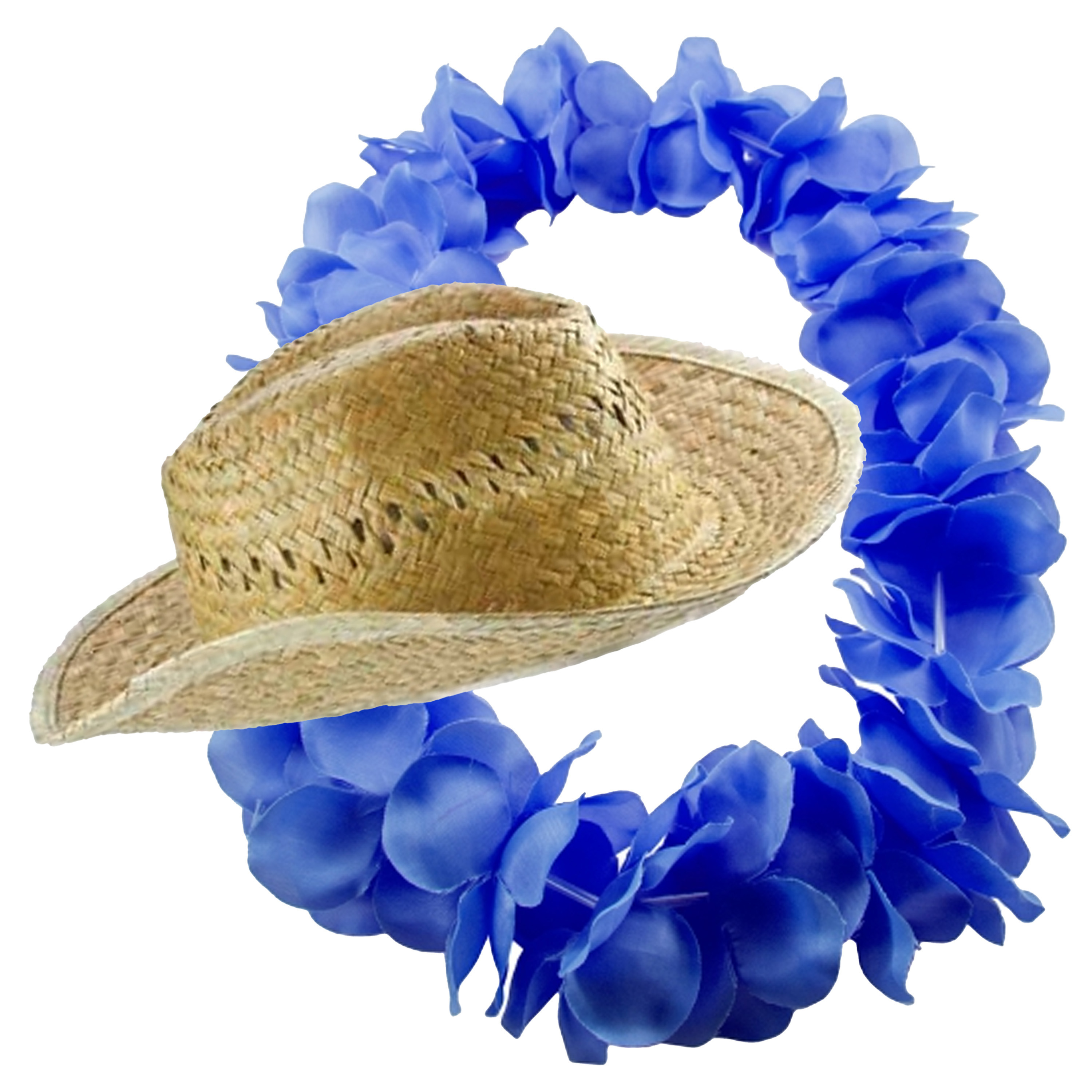 Carnaval verkleed set Tropische Hawaii party stro beach hoed met volle bloemenslinger blauw