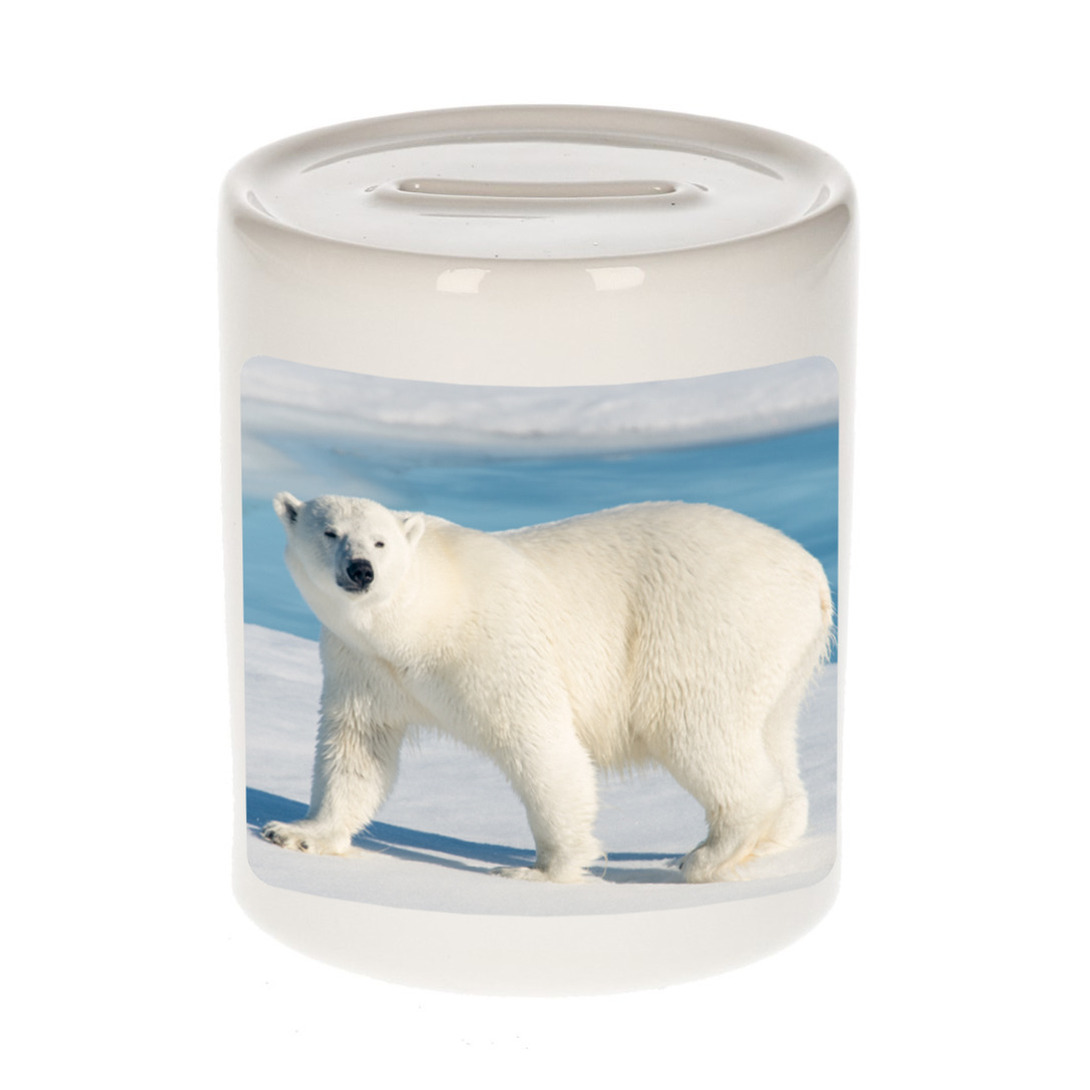 Dieren foto spaarpot witte ijsbeer 9 cm ijsberen spaarpotten jongens en meisjes