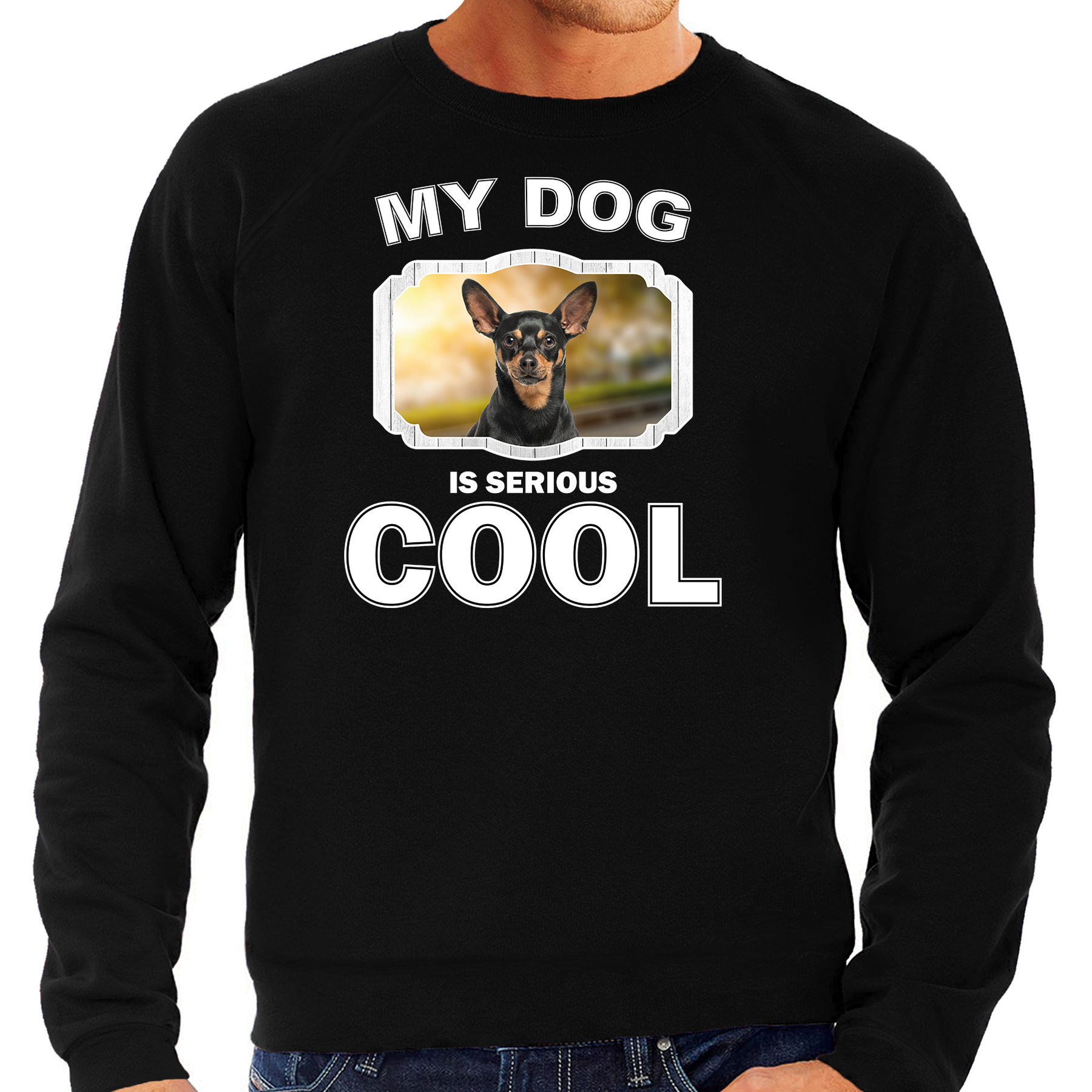 Dwergpinscher honden sweater-trui my dog is serious cool zwart voor heren