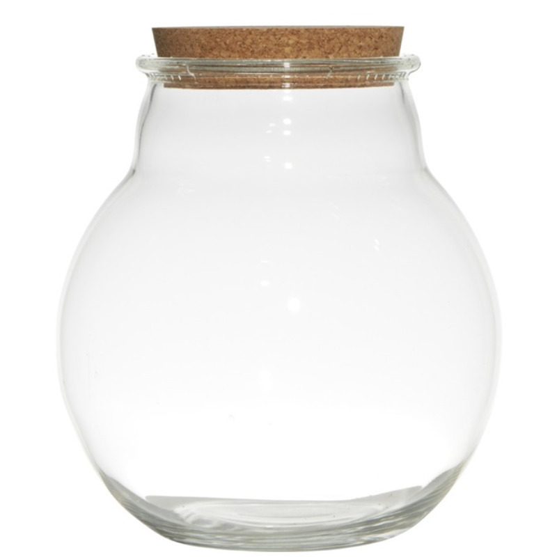 Glazen voorraadpot-snoeppot-terrarium vaas van 19 x 21.5 cm met kurk dop
