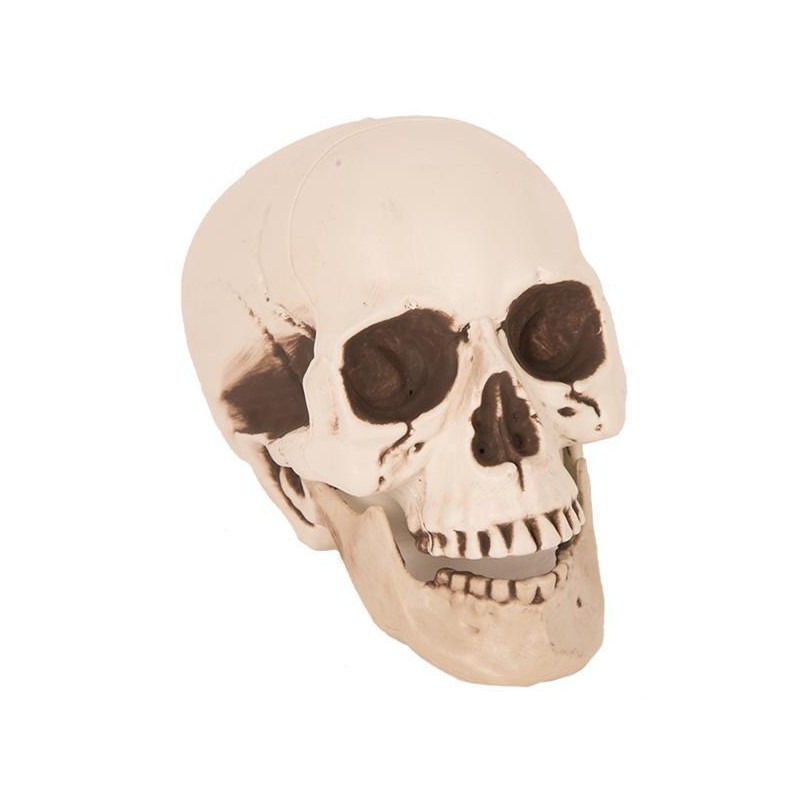 Halloween - Horror decoratie schedel 21 cm