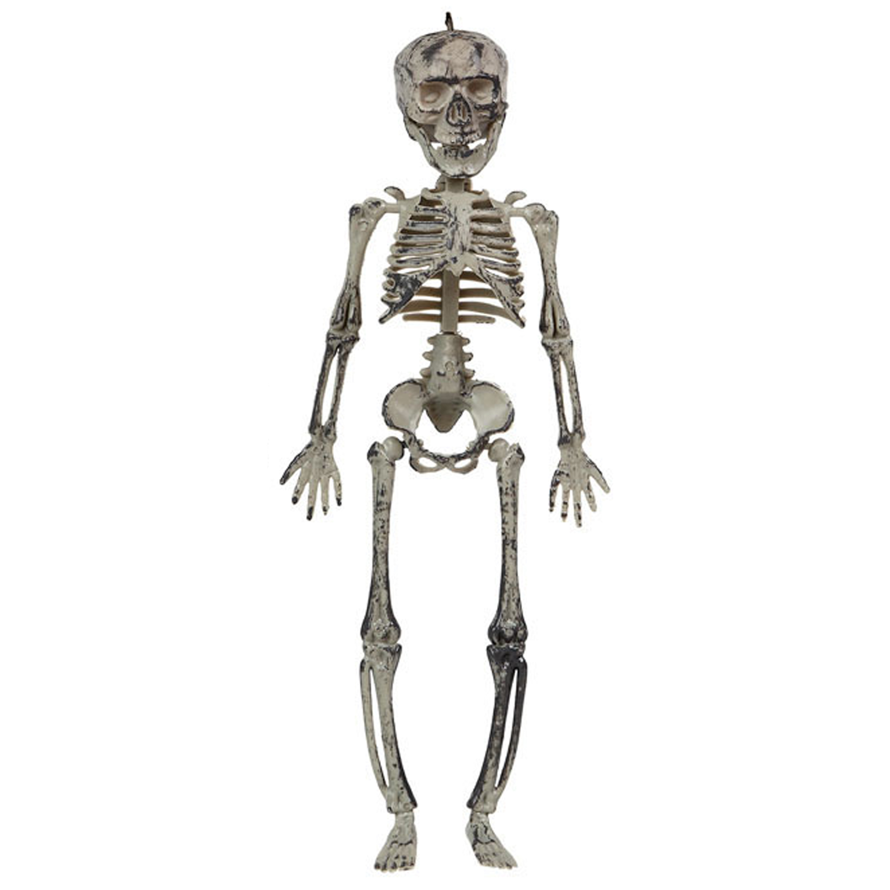 Halloween-horror thema hang decoraties 1x stuks skeletten in vergane staat 30 cm