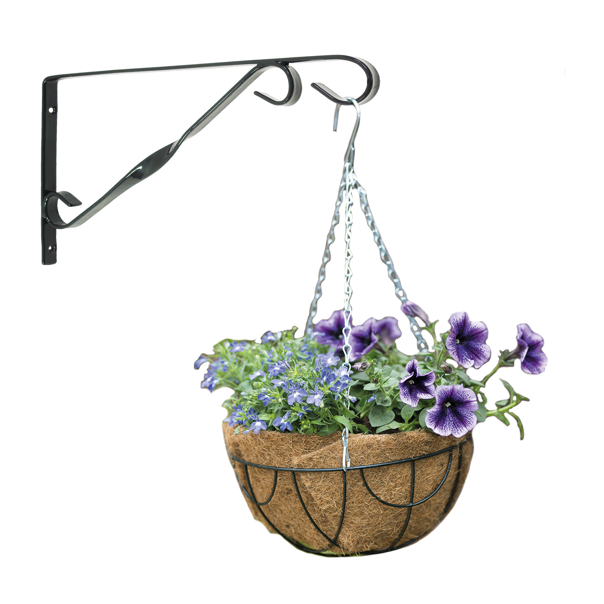 Nature Hanging basket 25 cm met klassieke muurhaak donkergroen en kokos inlegvel - metaal - hangmand set -