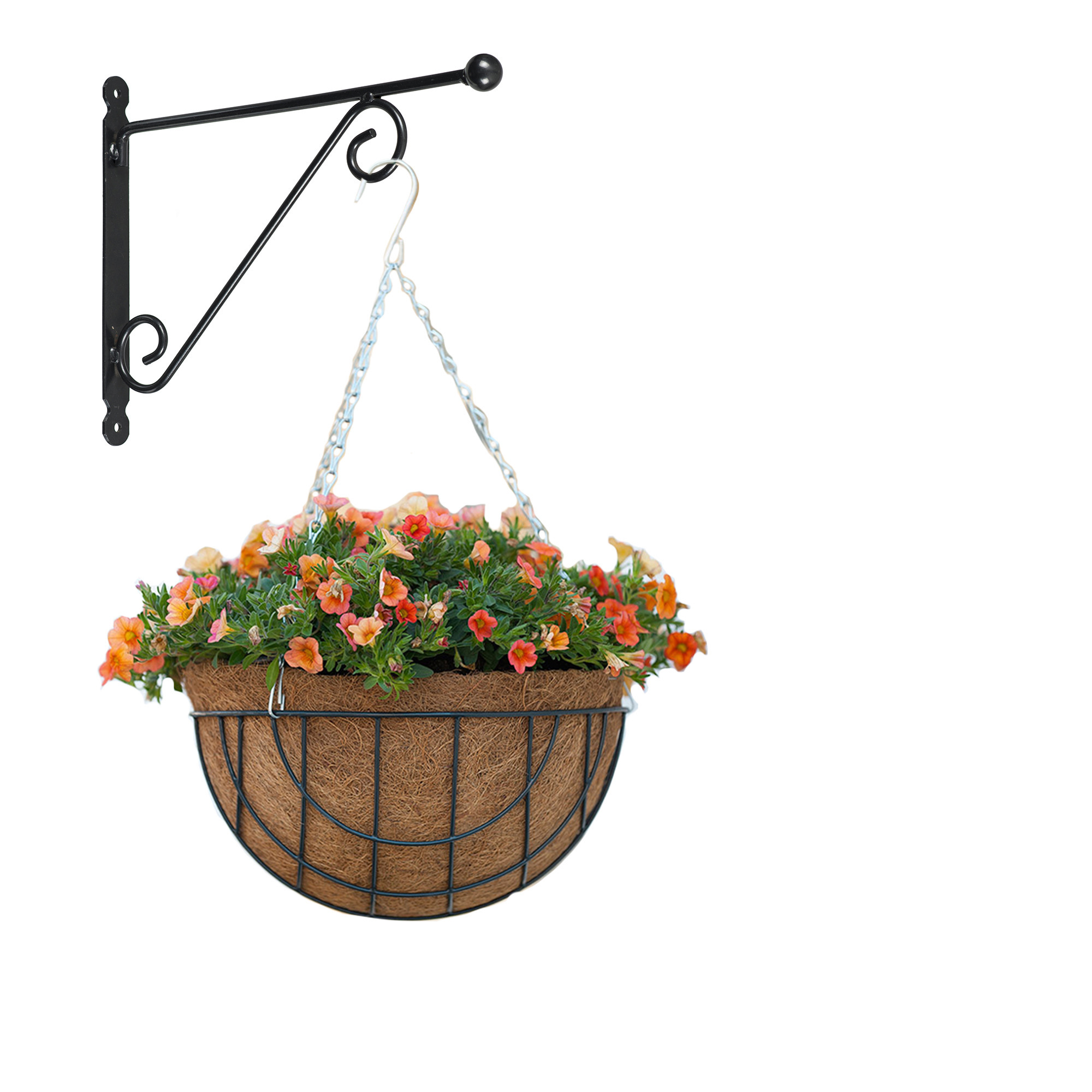 Hanging basket met muurhaak sierkrul groen en kokos inlegvel metaal complete hanging basket set