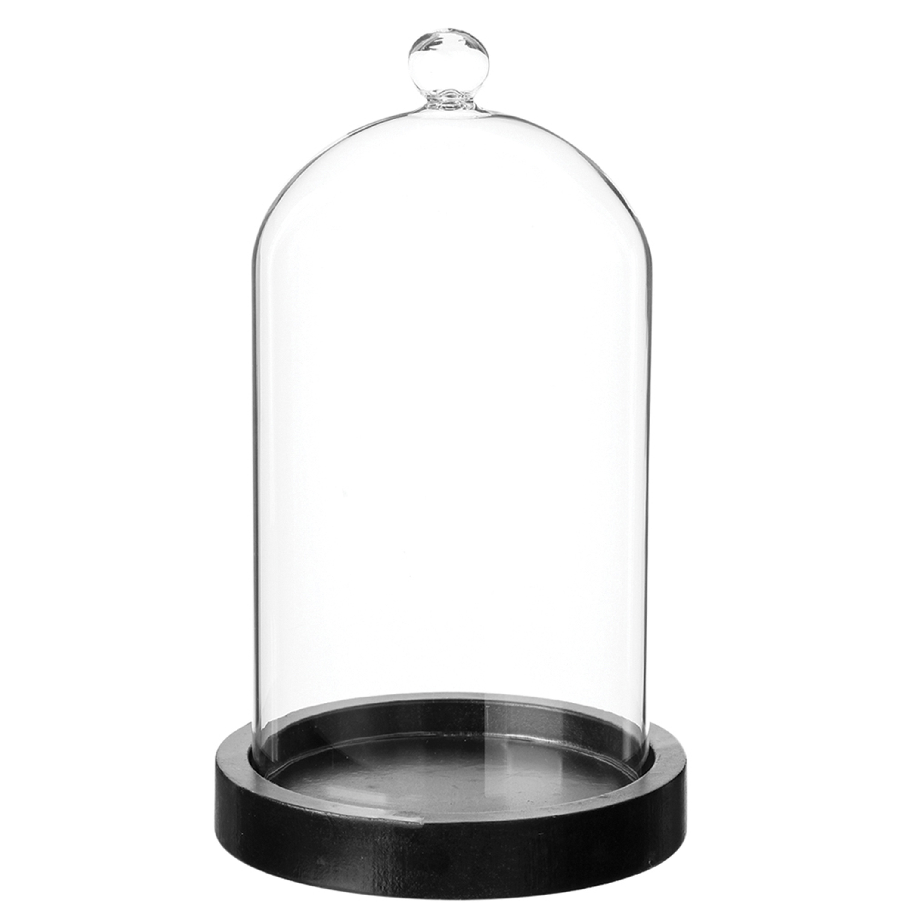 Home decoratie glazen stolp op houten plateau glas-zwart D12 x H19 cm