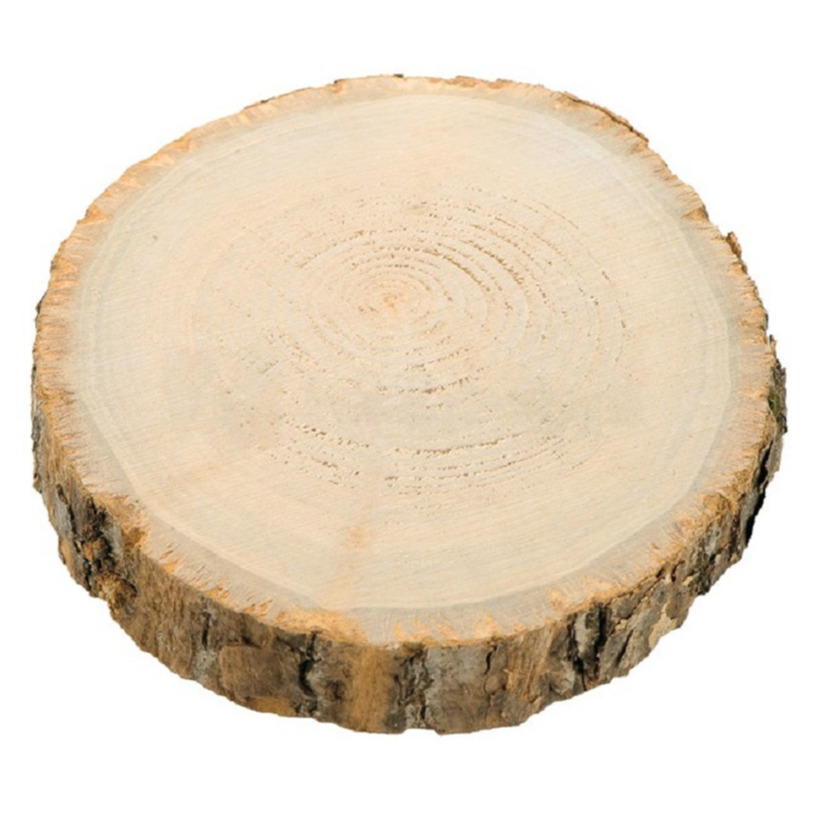 Kaarsenplateau boomschijf met schors hout D17 x H2 cm rond