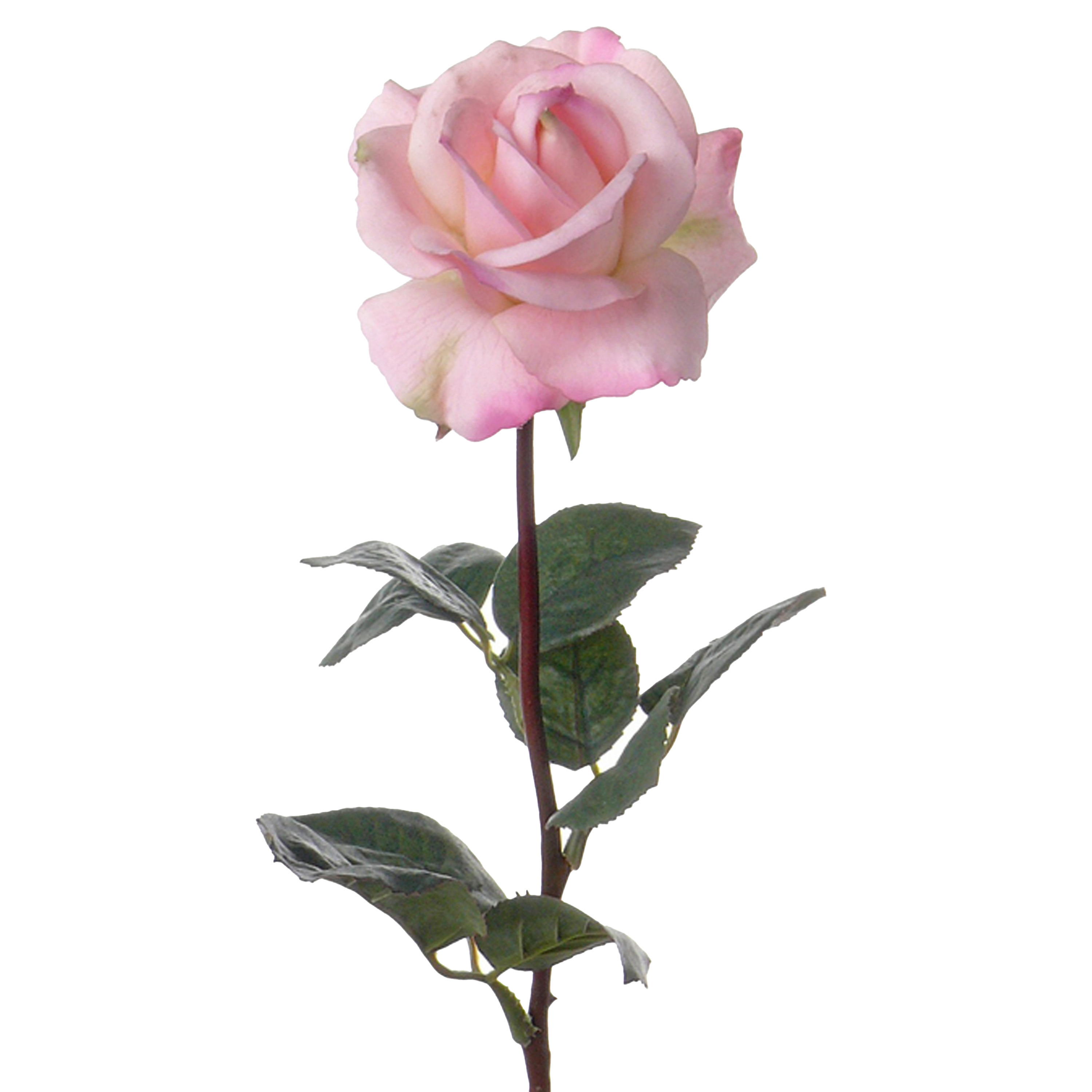Afbeelding van Kunstbloem roos Caroline - roze - 70 cm - zijde - kunststof steel - decoratie bloemen