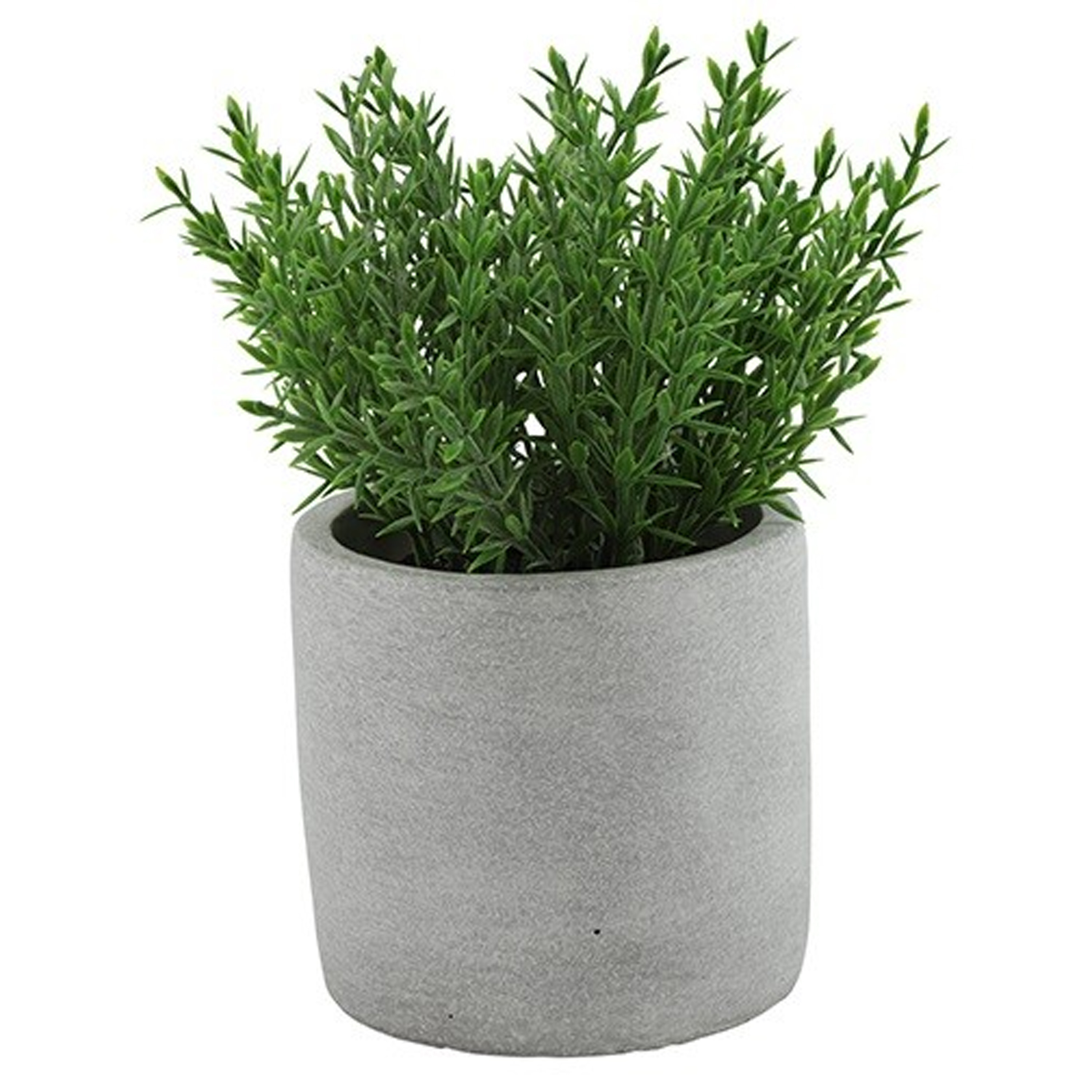 Kunstplant-kruiden thijm Countryfield in grijs cement potje 19 cm kruiden