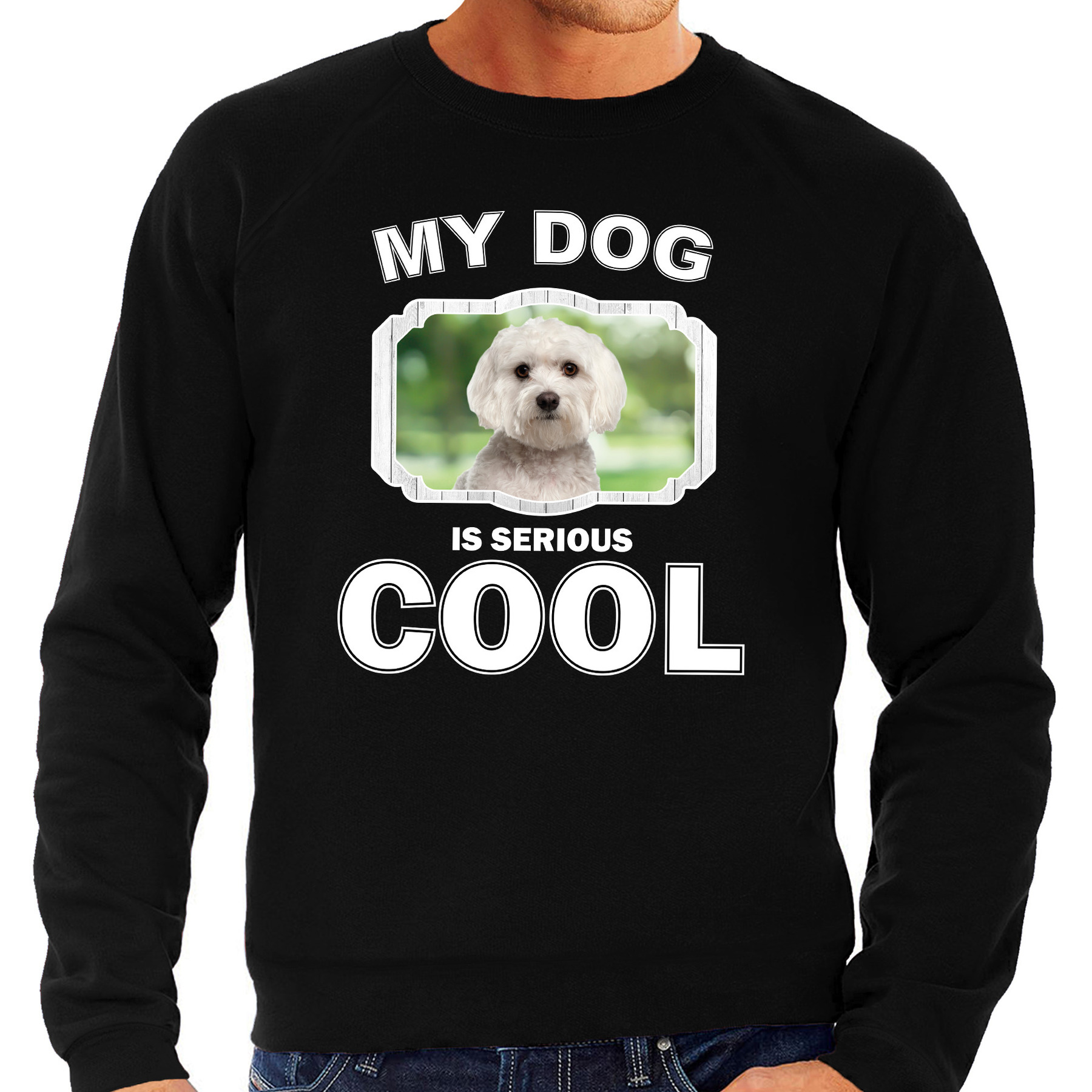 Maltezer honden sweater-trui my dog is serious cool zwart voor heren