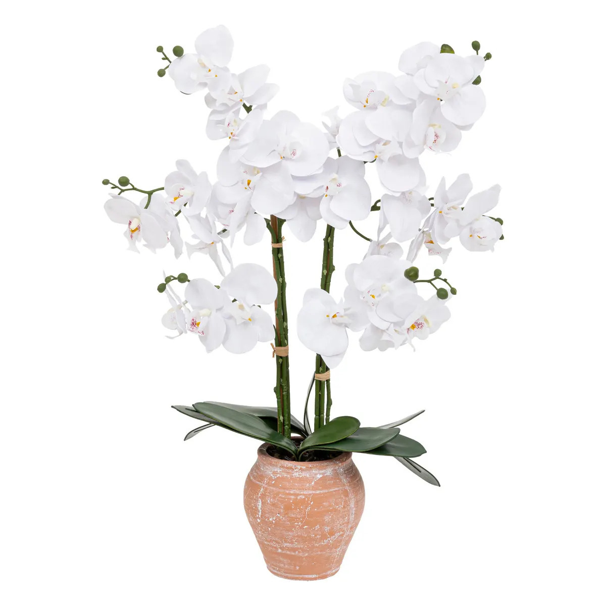 Orchidee bloemen kunstplant in sierlijke terracotta bloempot witte bloemen H65 cm