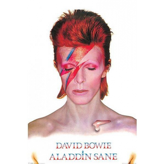 Poster David Bowie Aladdin Sane 61 x 91,5 cm -