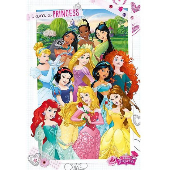 Poster Disney prinsessen 61 x 91,5 cm - Kinder wand - Bellatio warenhuis