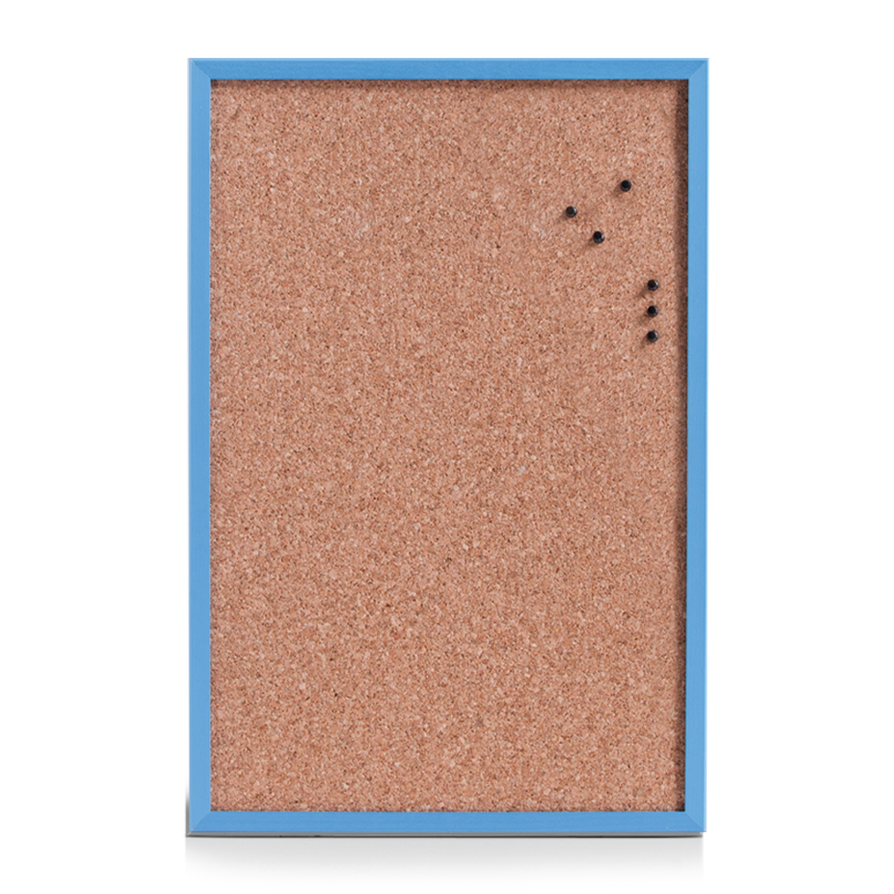 Prikbord incl. punaises 40 x 60 cm blauw kurk