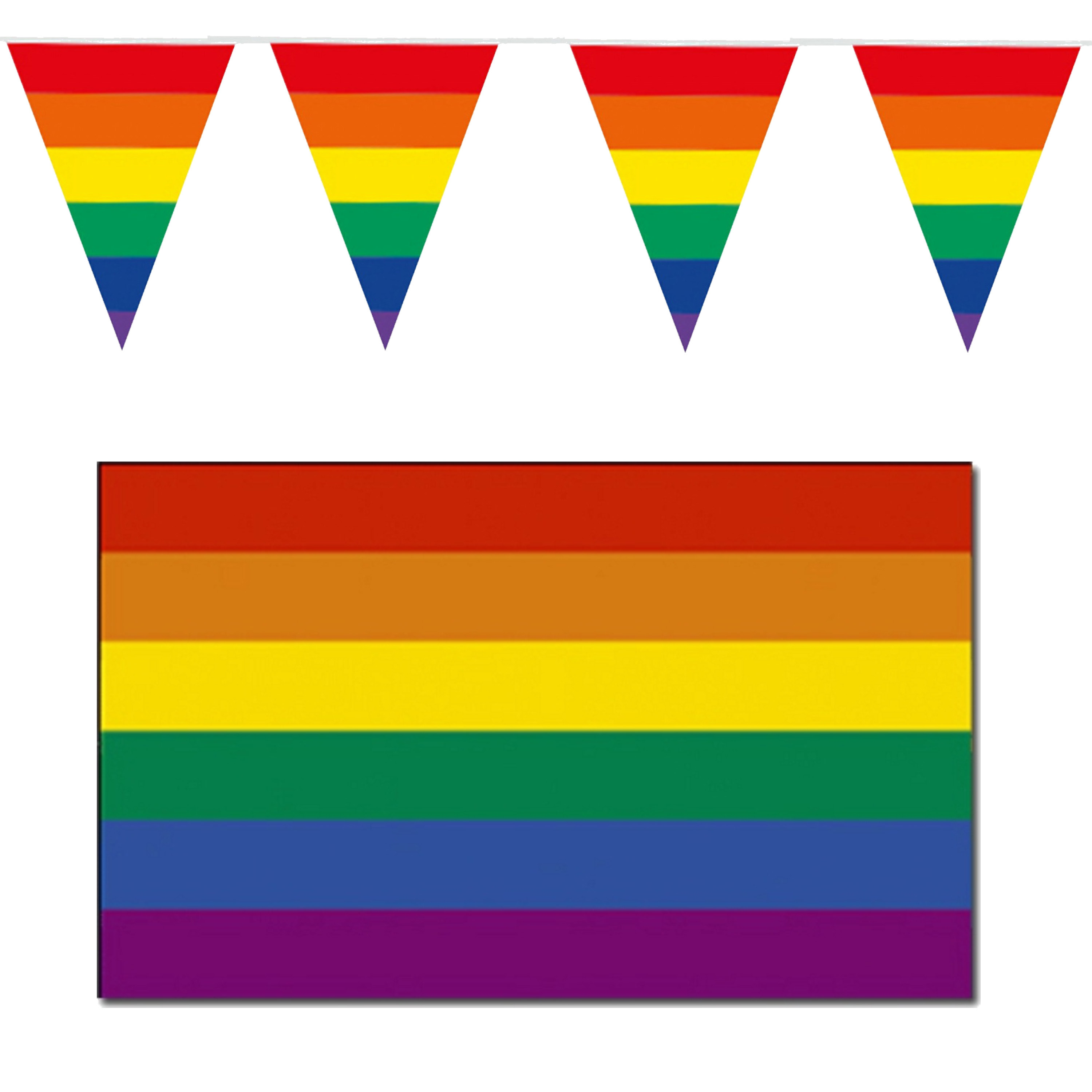 Regenboog pride vlaggen versiering set binnen-buiten 2-delig