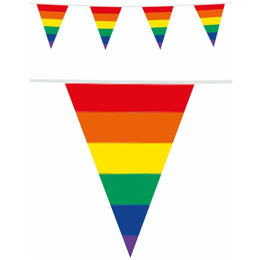 Regenboog thema vlaggenlijn-vlaggetjes 10 meter Dubbelzijdig bedrukt