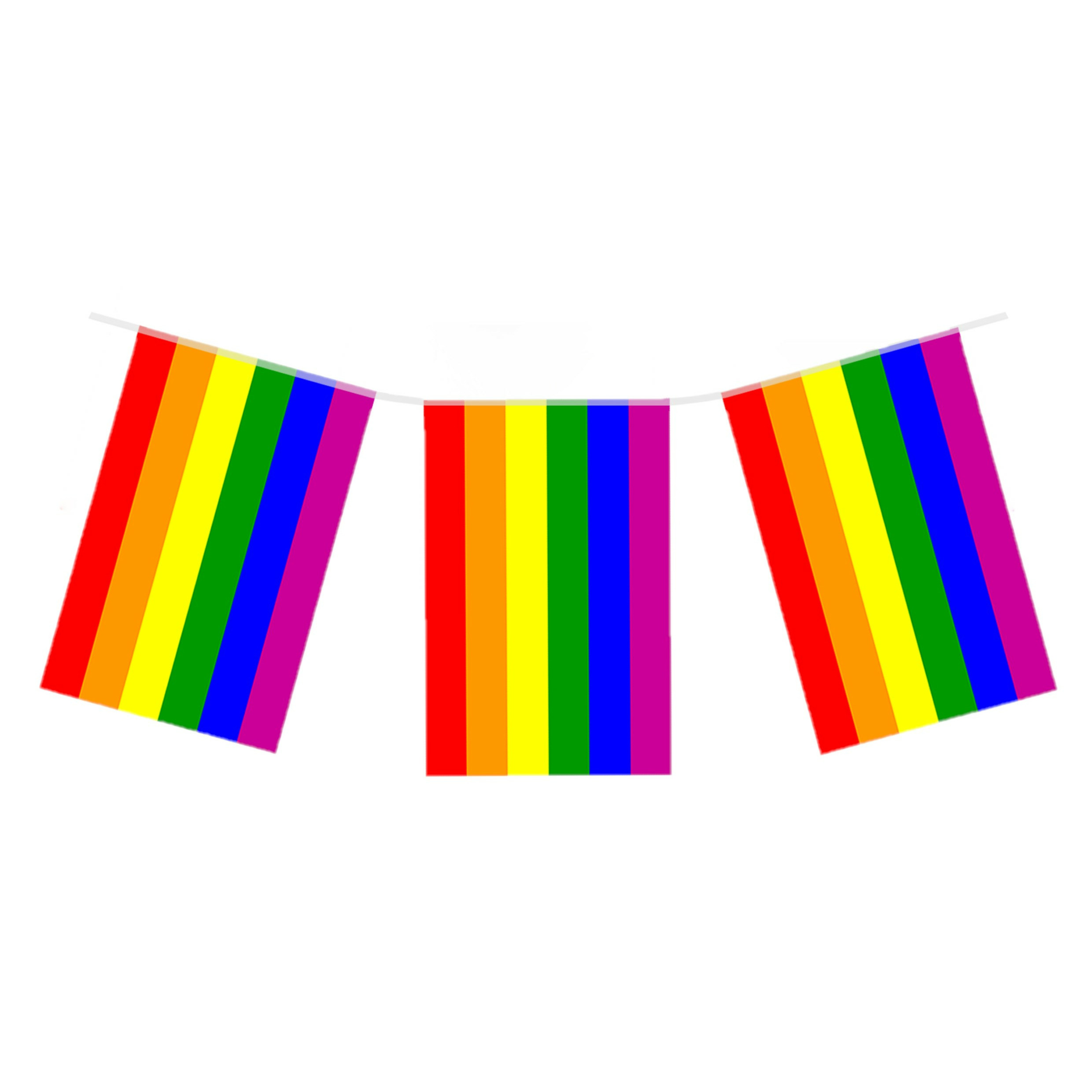 Regenboog vlaggenlijn-vlaggetjes van 7 meter