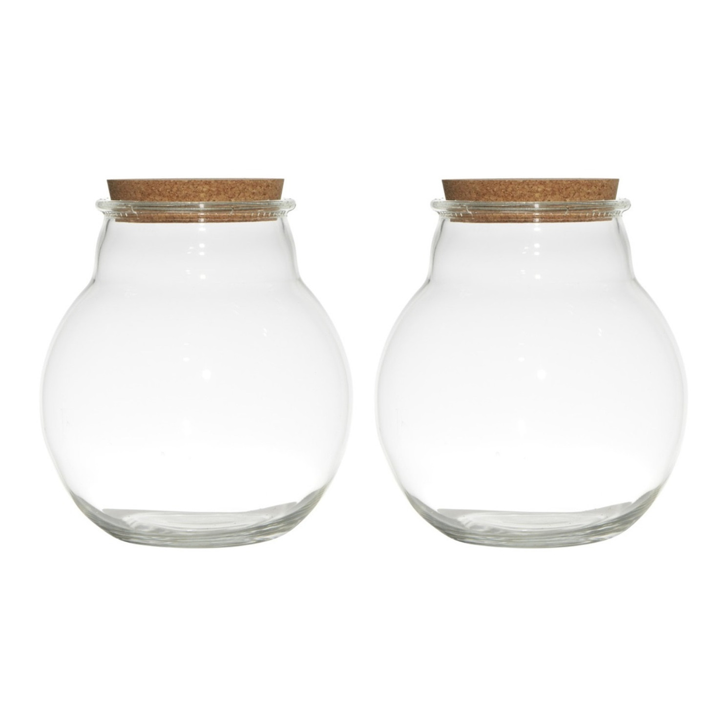 Set van 2x stuks glazen voorraadpotten-snoeppotten-terrarium vazen van 19 x 21.5 cm met kurk dop