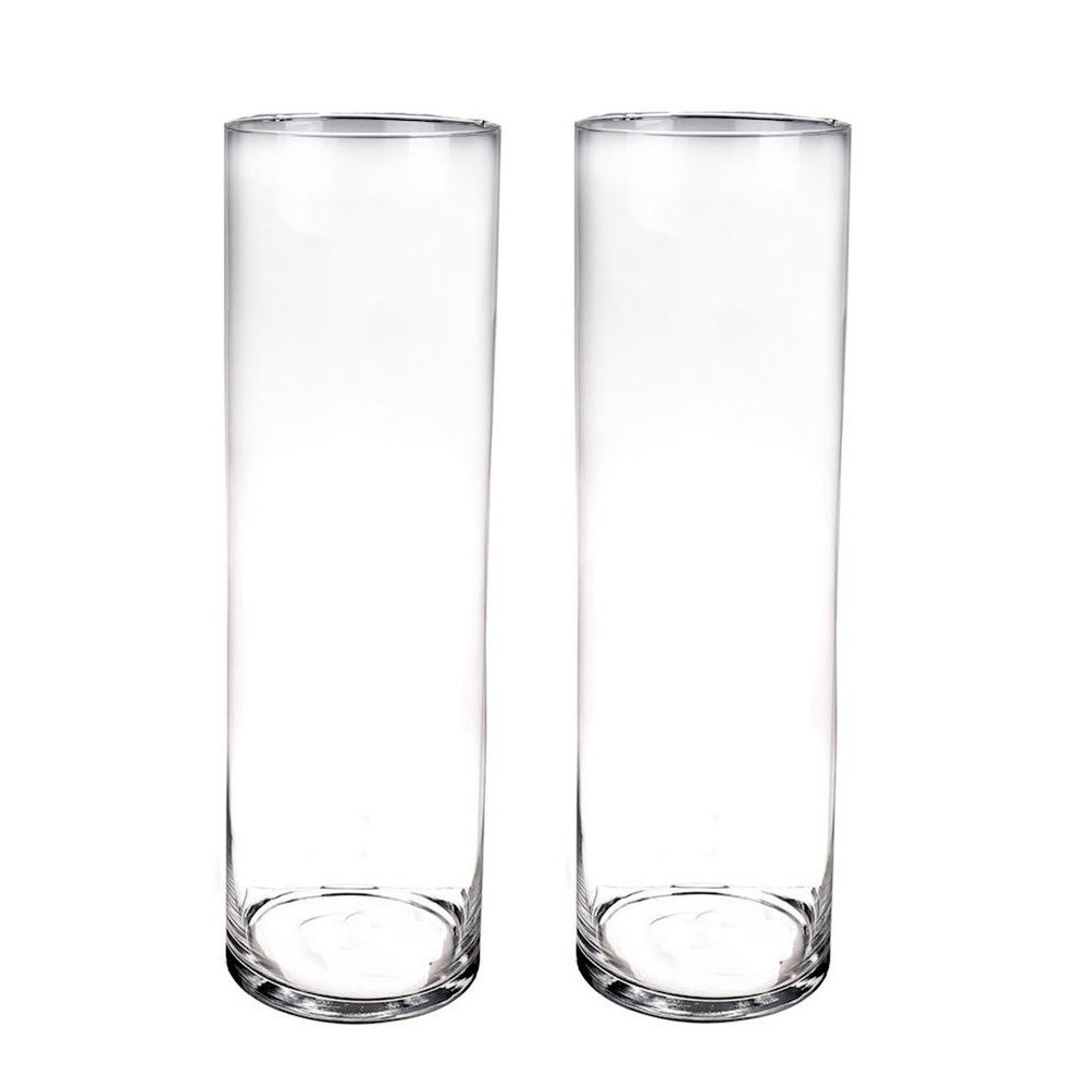Set van 2x stuks hoge cilinder vazen van glas 50 x 15 cm