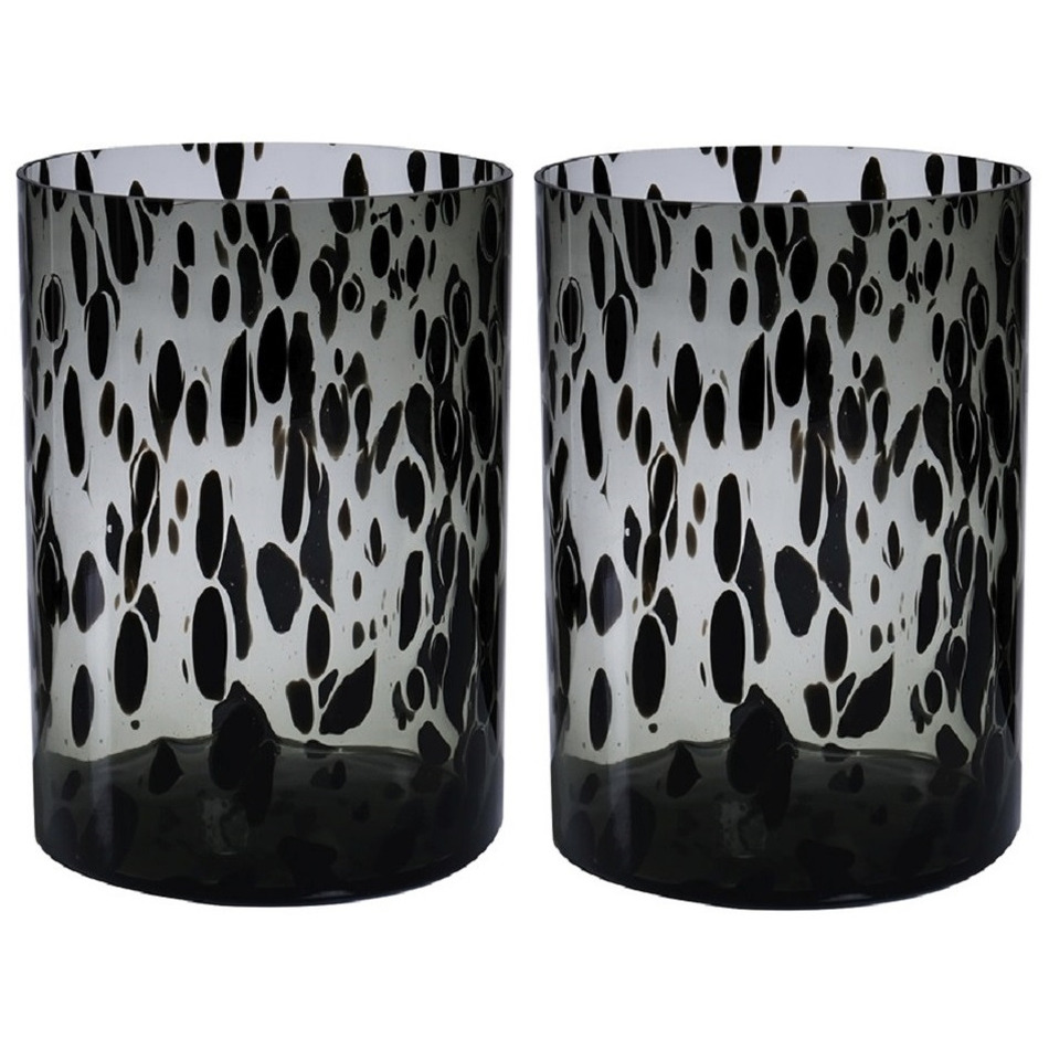 Set van 2x stuks modieuze bloemen cylinder vaas-vazen van glas 30 x 19 cm zwart fantasy