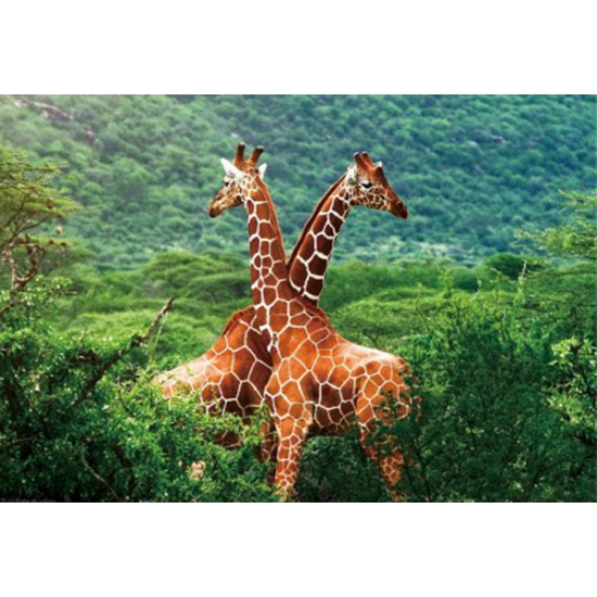 Set van 4x stuks placemat giraffe 3D 28 x 44 cm