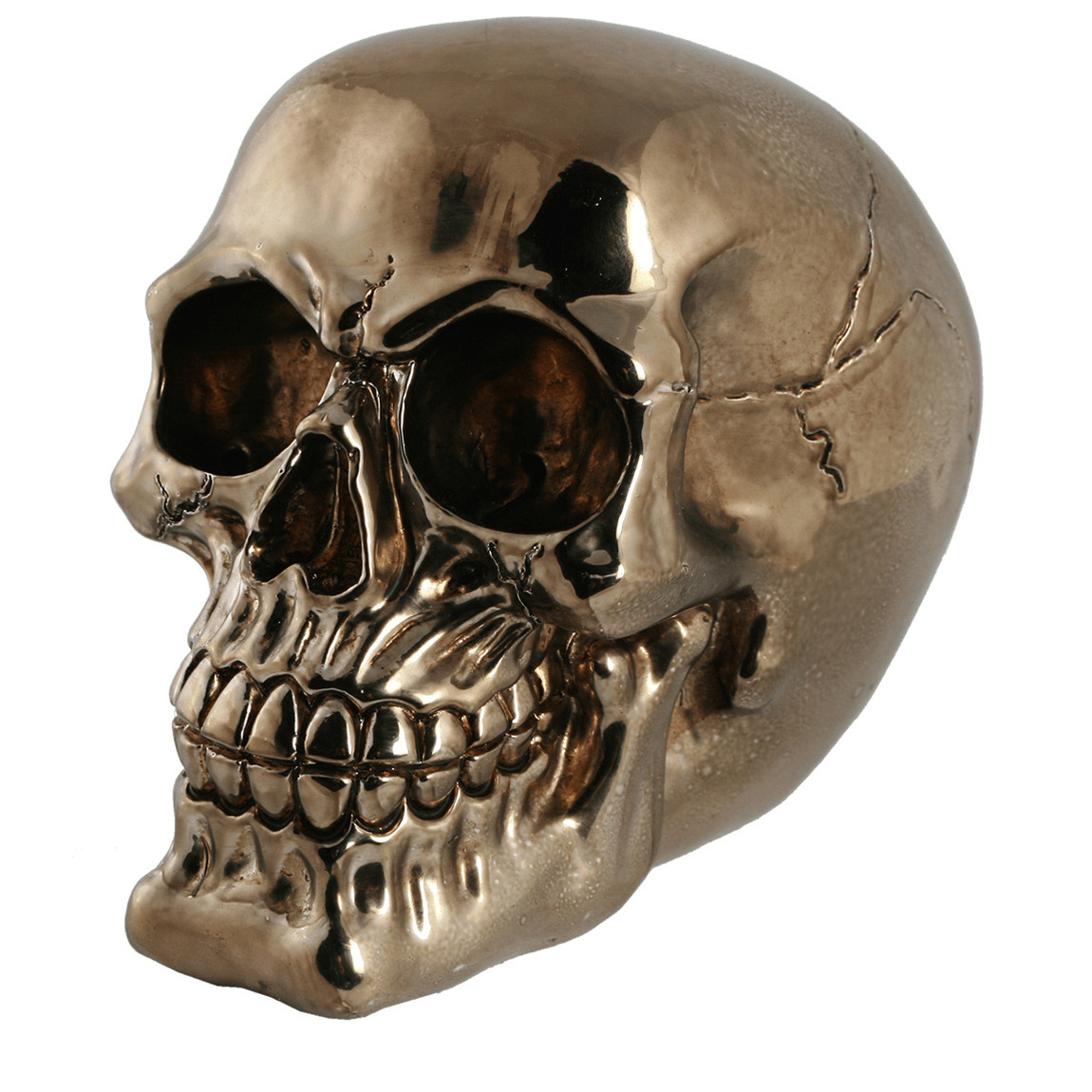 Out of the blue Spaarpot van doodshoofd/Skull - polyresin - 15 cm - Gold Dark - Volwassenen -