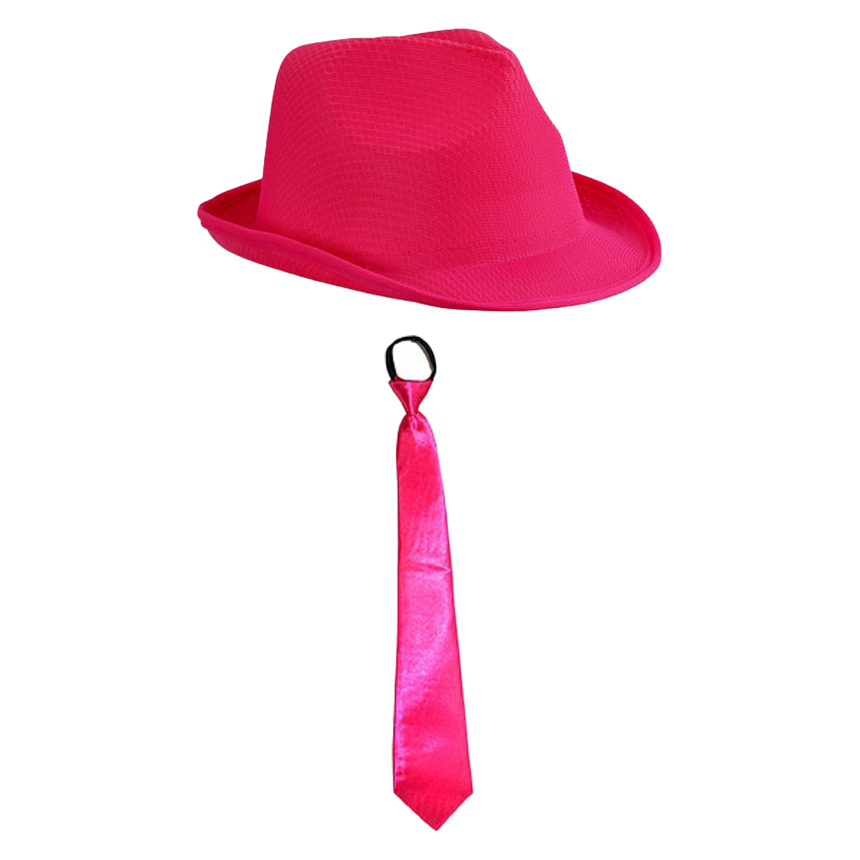 Toppers Carnaval verkleed set hoedje en stropdas roze volwassenen