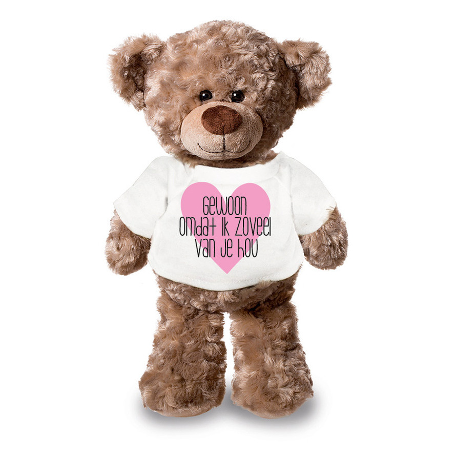 Valentijnsdag cadeau teddybeer XL omdat ik van je hou Valentinesday knuffelbeer Clothies