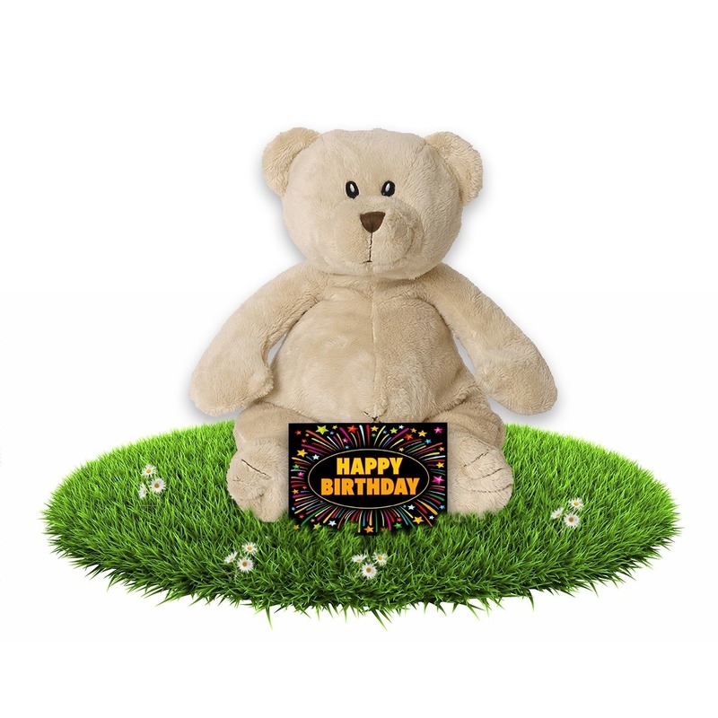 Verjaardag knuffel teddybeer 23 cm + gratis verjaardagskaart -