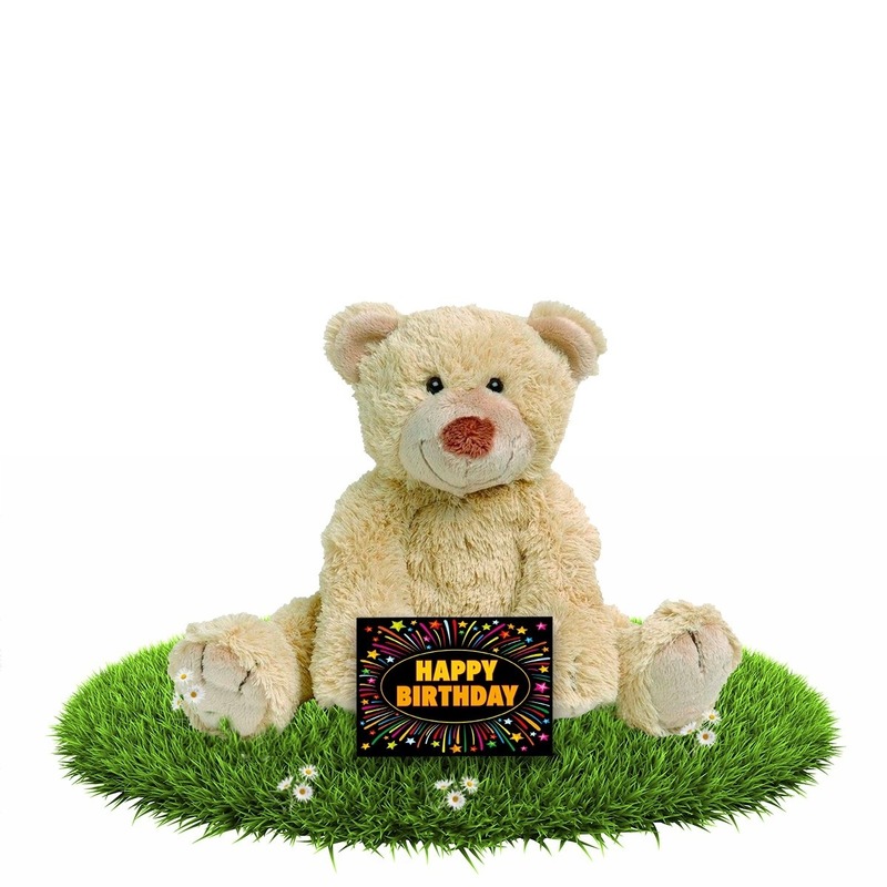 Verjaardag knuffelbeer Boogy 35 cm met gratis verjaardagskaart