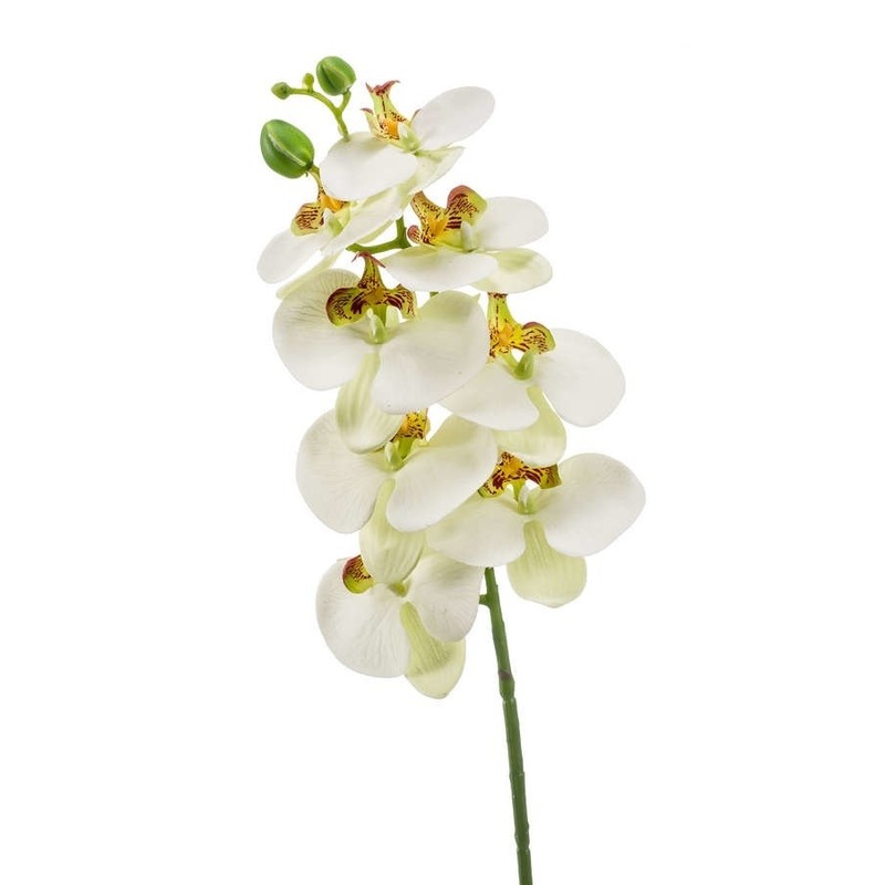 Witte Phaleanopsis-vlinderorchidee kunstbloem 70 cm