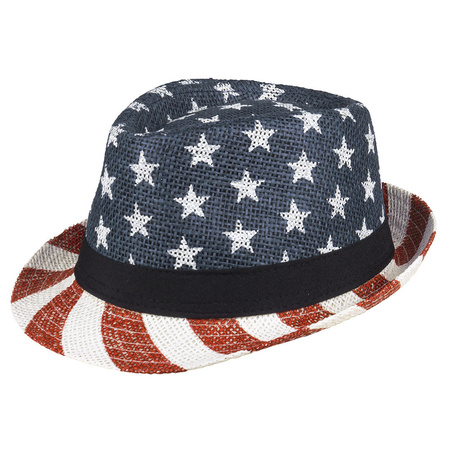 1x USA verkleed hoeden voor volwassenen