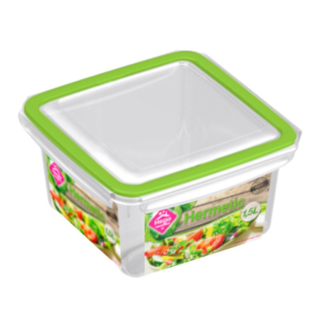 4x Storage/food box 0,25 and 1,5liters transparent/green plastic