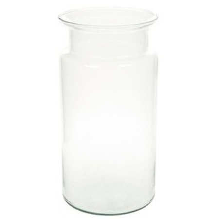 2x Flesvormige vazen glas 30 cm type Bose