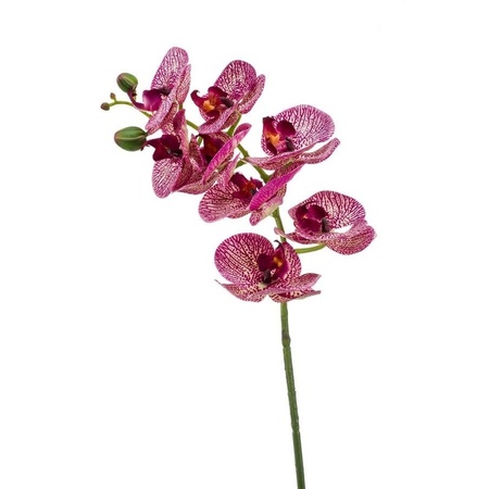 2x Fuchsia roze Phaleanopsis/vlinderorchidee kunstbloemen 70 cm