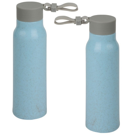 2x Stuks glazen waterfles/drinkfles blauwe coating met kunststof schroefdop 300 ml