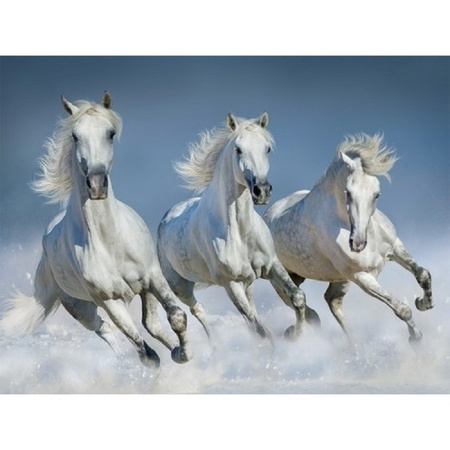 2x stuks placemats met paarden 3D print 30 x 40 cm