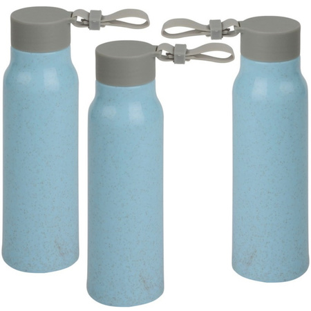 3x Stuks glazen waterfles/drinkfles blauwe coating met kunststof schroefdop 300 ml