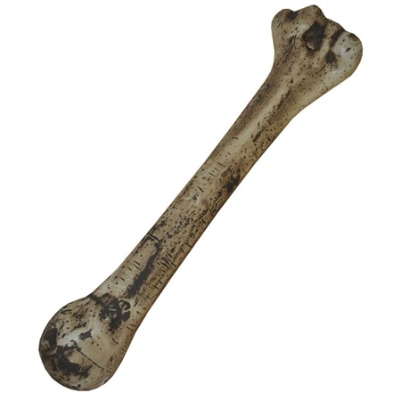 5x Small human bone 27 cm
